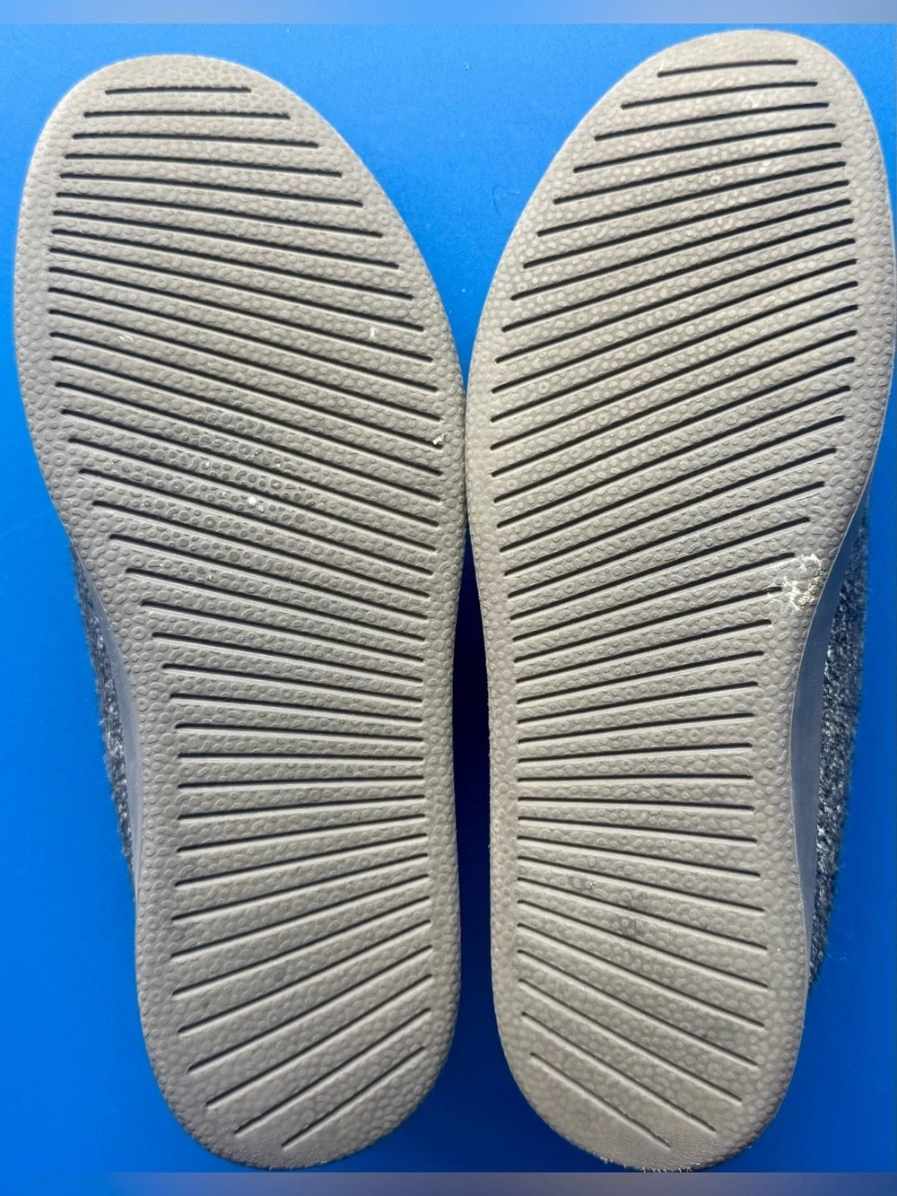 allbirds comfort meets